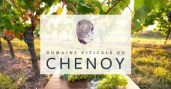 Domaine Viticole du Chenoy (Frères Despatures)
